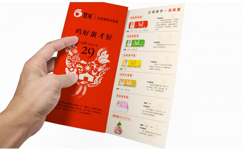 需要做畫冊設(shè)計，這些你都了解嗎